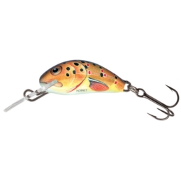 Wobler Salmo Hornet S 2,5cm/1,5g T