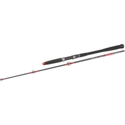 Wędka Cat Teritory Troll Spin 210cm 50-180g Mikado