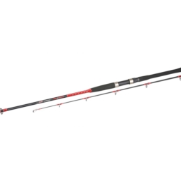 Wędka Cat Teritory Troll Spin 270cm 50-180g Mikado