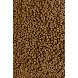 Feeder Bait Pellet Orzech Tygrysi 4mm 800g