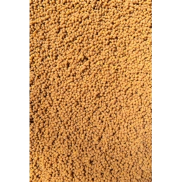 Feeder Bait Gotowy Pellet 2mm Sweet Corn 600g