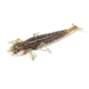 FishUp Diving Bug 2' 5cm Motor Oil Red