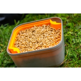 Sitko Wkładka Guru do pudełka Maggot Riddle Black