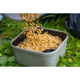 Sitko Wkładka Guru do pudełka Maggot Riddle Black