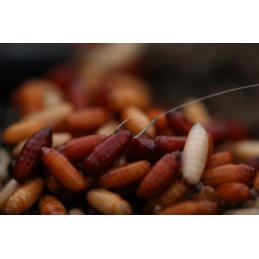 Guru Haczyki Pole Special Hook 10szt. Nr14