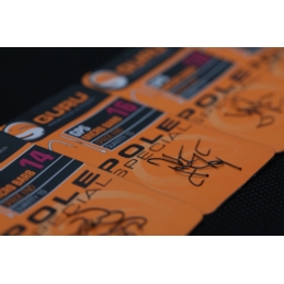 Guru Haczyki Pole Special Hook 10szt. Nr12