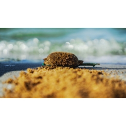 Osmo Zanęta CSuperL Mix 1kg