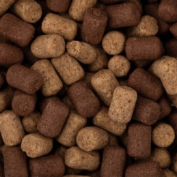 BaitNow Method O'Fish Wafters 8mm Ryba Betaina