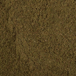 BaitNow Zanęta Method Feeder O'Fish Green 800g