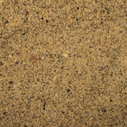 BaitNow Zanęta Method Feeder Pumpqin 800g