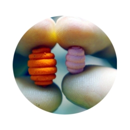 Osmo Big Larwa Wafters 11mm Kraken