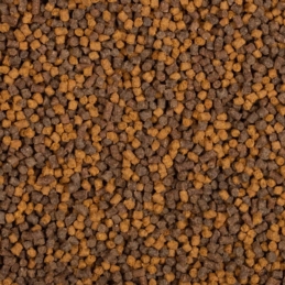 BaitNow Pellet Method Feeder Yellow Spin 2mm 800g