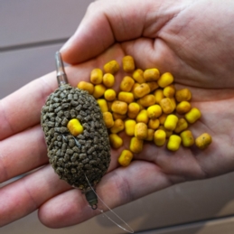 Solbait Wafters STP 3 Duo Mini Yellow Brown