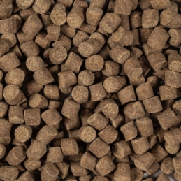 Pellet na wagę Aller Aqua Master 11mm 500g