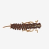 Guma Water King Larwa 5,5cm 22
