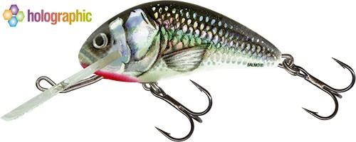 Wobler Salmo Hornet S 5,0cm/8g HGS