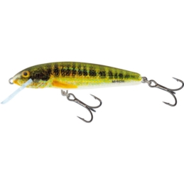 Wobler Salmo Minnow F 5cm/3g HRM