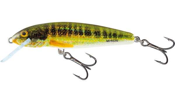 Wobler Salmo Minnow F 5cm/3g HRM