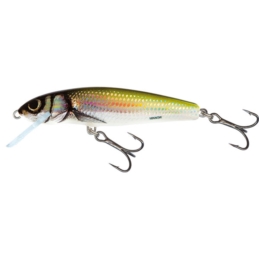 Wobler Salmo Minnow F 7cm/6g HB