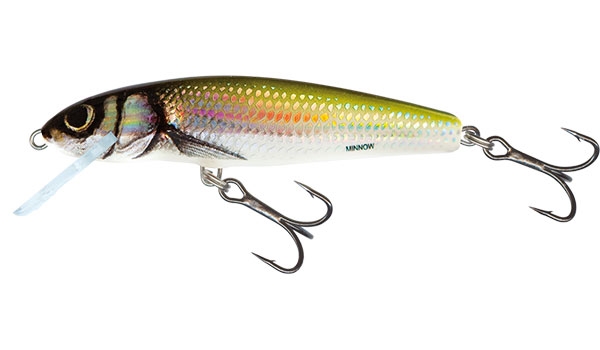 Wobler Salmo Minnow F 7cm/6g HB