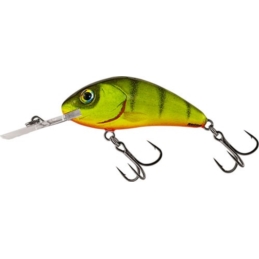 Wobler Salmo Rattlin Hornet F 4,5cm/6g HP