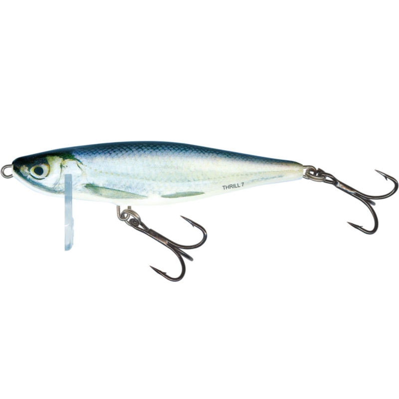 Wobler Boleniowy Salmo Thrill S 5cm/6,5g RBL