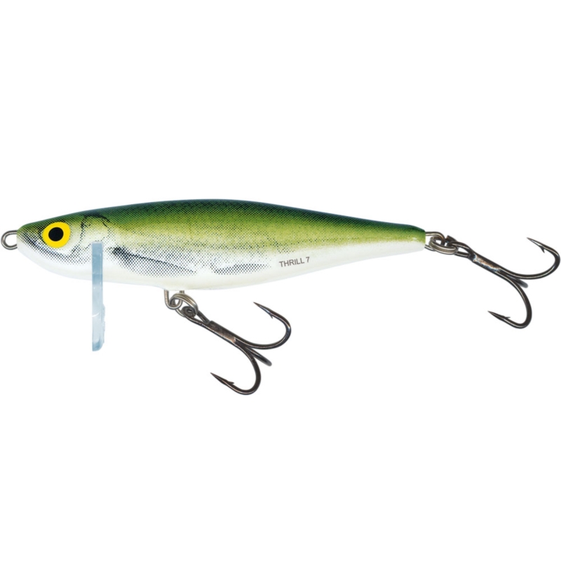 Wobler Boleniowy Salmo Thrill S 5cm/6,5g OB